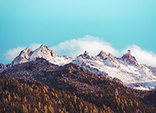 乐鱼体育官网：开启智慧博彩的新纪元