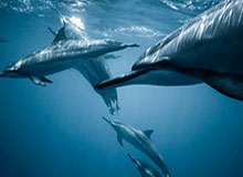 宁波vs同曦首发阵容详情 一览(2025年08月10日)